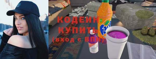 стаф Киренск