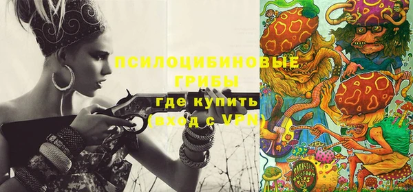 стаф Киренск