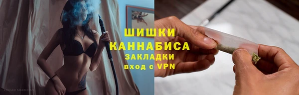 гидра Кинешма