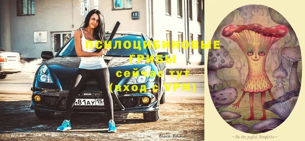 стаф Киренск