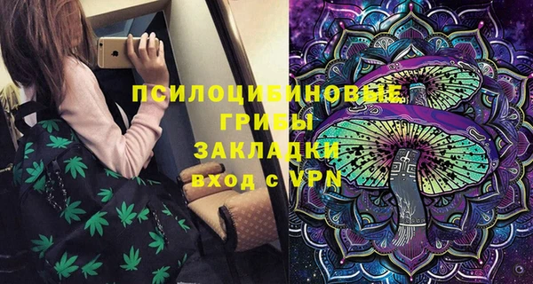 стаф Киренск