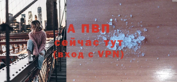 гидра Кинешма