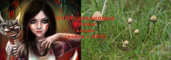 стаф Киренск