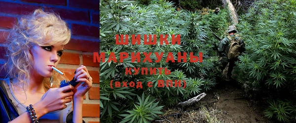 гидра Кинешма