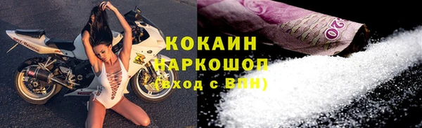 гидра Кинешма