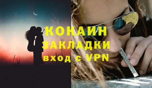 гидра Кинешма