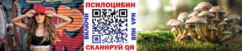 Купить закладки  Черепаново  Псилоцибиновые грибы прущие грибы 